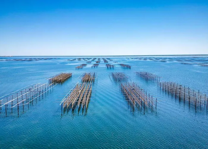 Glycines By Βίλα